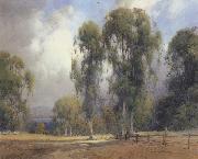 unknow artist, California landscape